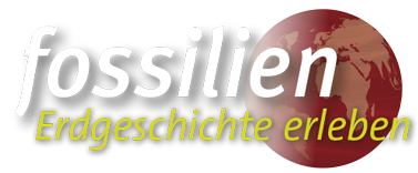 Fossilien
