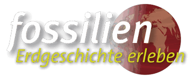 Fossilien