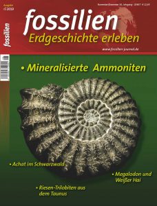 Fossilien 6/2019