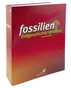 Extra-Geschenk für Schnellentschlossene: Der praktische Sammelordner für einen Jahrgang.