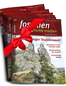 Geschenkabonnement