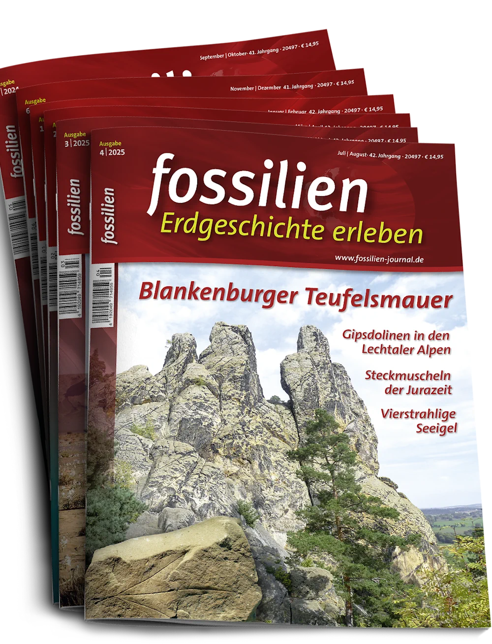 Jahresabonnement