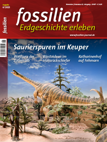 Fossilien 6/2025