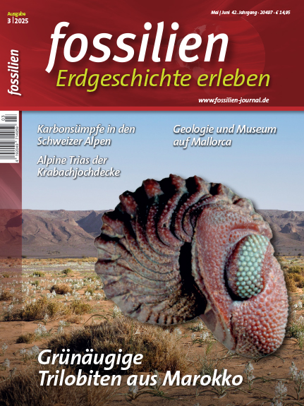 Fossilien 3/2025
